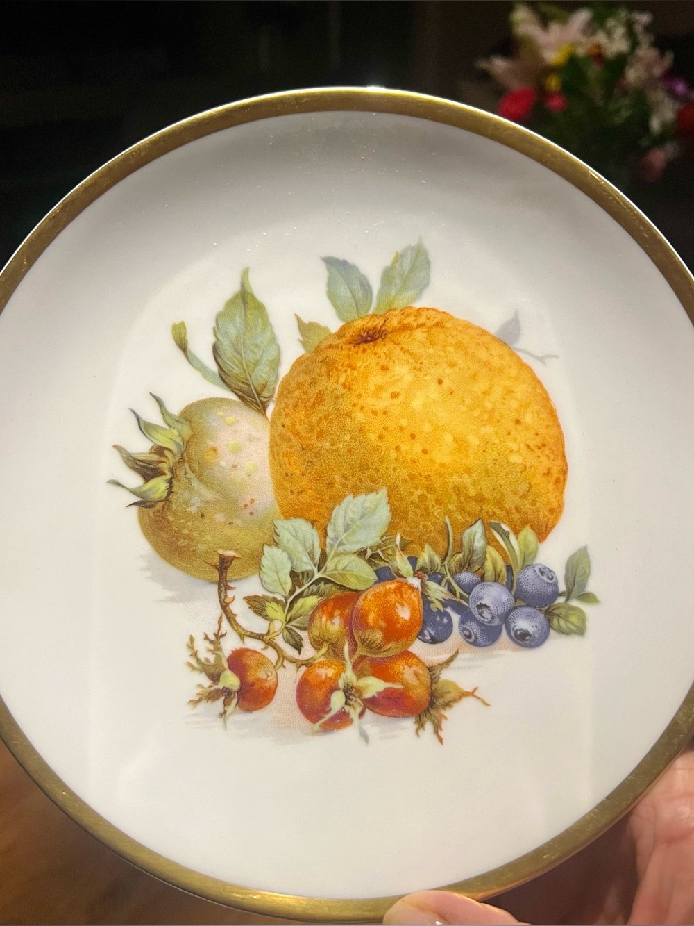 Vintage Jaeger Bavaria Orchard PLUM Plate Replacement E&R Gold Rim